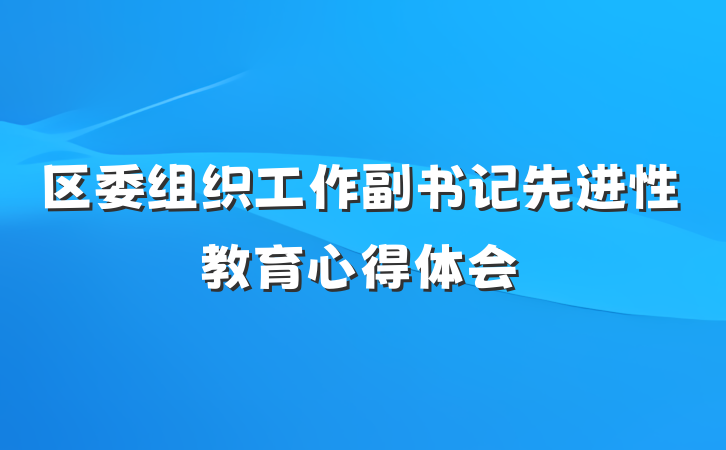 区委组织工作副书记先进性教育心得体会