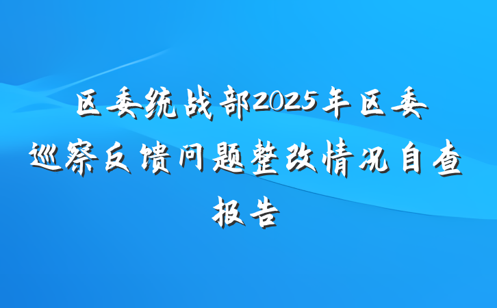 区委统战部2025年区委巡察反馈问题整改情况自查报告