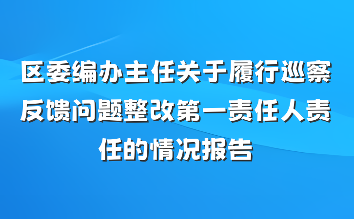 区委编办主任关于履行巡察反馈问题整改第一责任人责任的情况报告