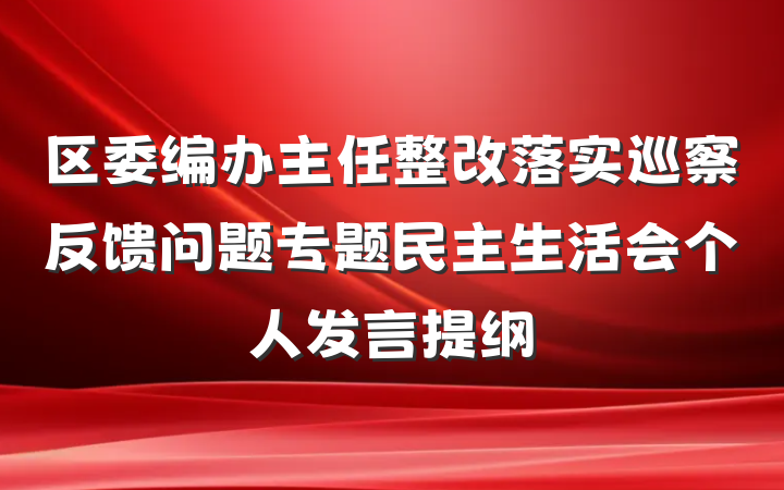 区委编办主任整改落实巡察反馈问题专题民主生活会个人发言提纲