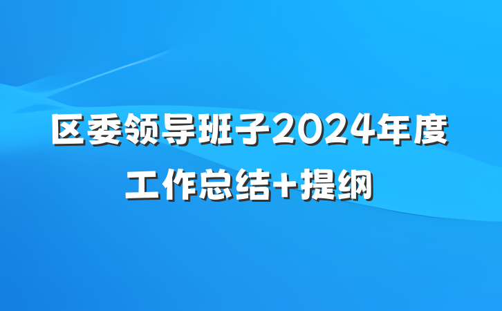 区委领导班子2024年度工作总结 提纲