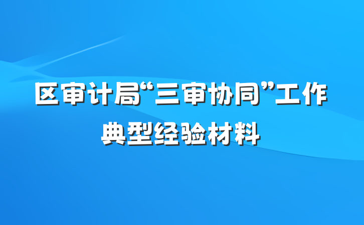 区审计局“三审协同”工作典型经验材料