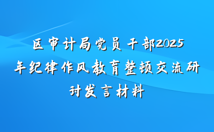 区审计局党员干部2025年纪律作风教育整顿交流研讨发言材料