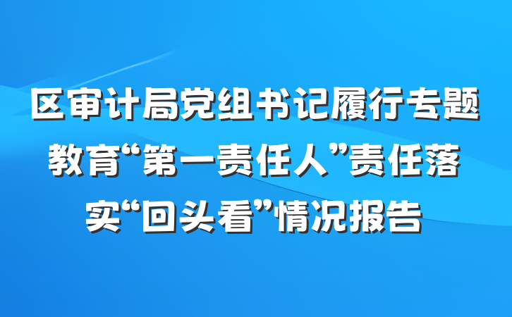 区审计局党组书记履行专题教育“第一责任人”责任落实“回头看”情况报告