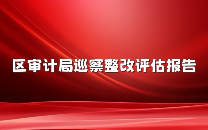 区审计局巡察整改评估报告