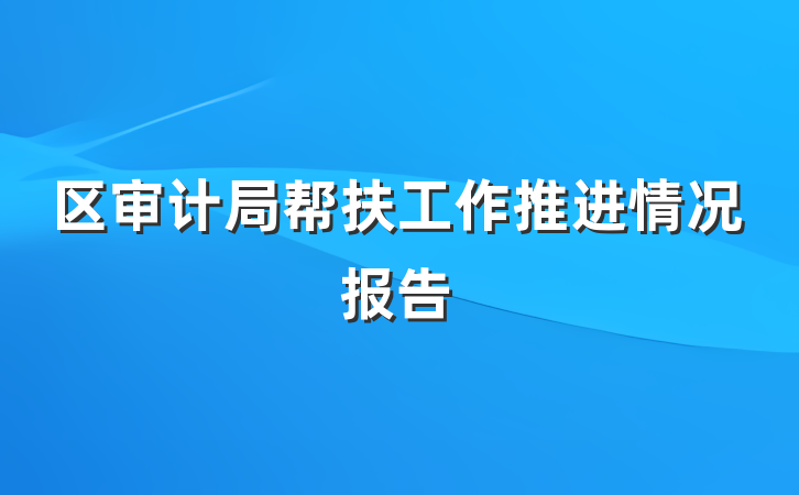 区审计局帮扶工作推进情况报告