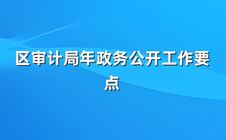 区审计局年政务公开工作要点