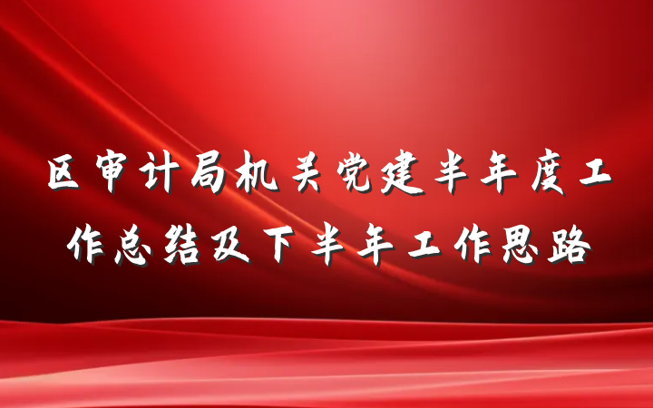 区审计局机关党建半年度工作总结及下半年工作思路