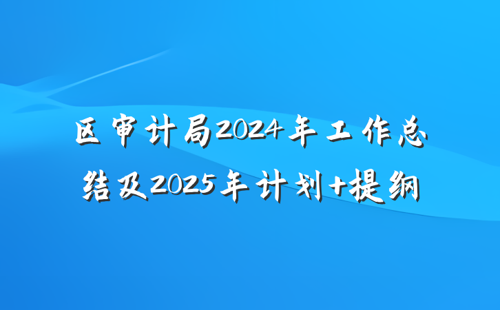 区审计局2024年工作总结及2025年计划 提纲