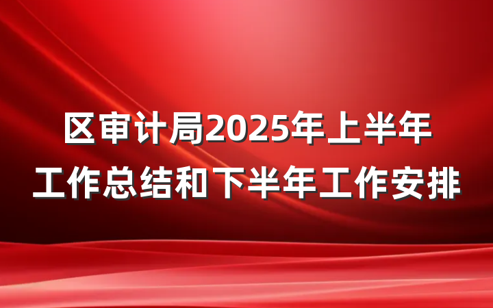 区审计局2025年上半年工作总结和下半年工作安排