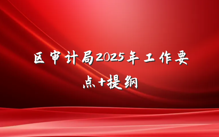 区审计局2025年工作要点 提纲