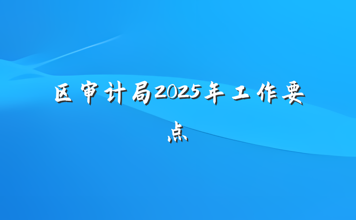 区审计局2025年工作要点