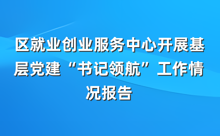 区就业创业服务中心开展基层党建“书记领航”工作情况报告