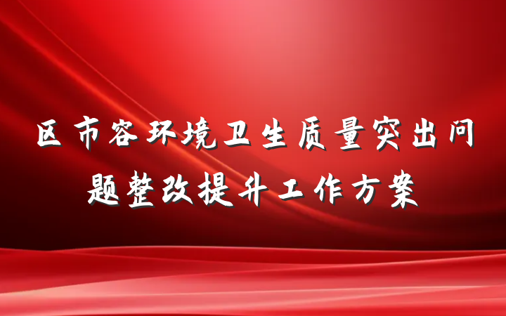区市容环境卫生质量突出问题整改提升工作方案