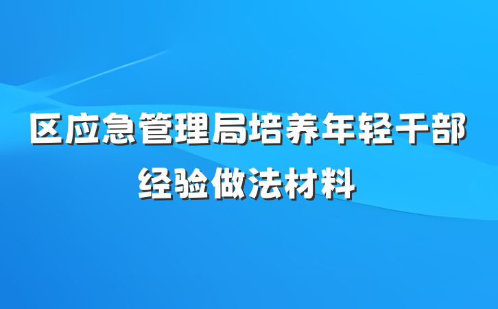 区应急管理局培养年轻干部经验做法材料