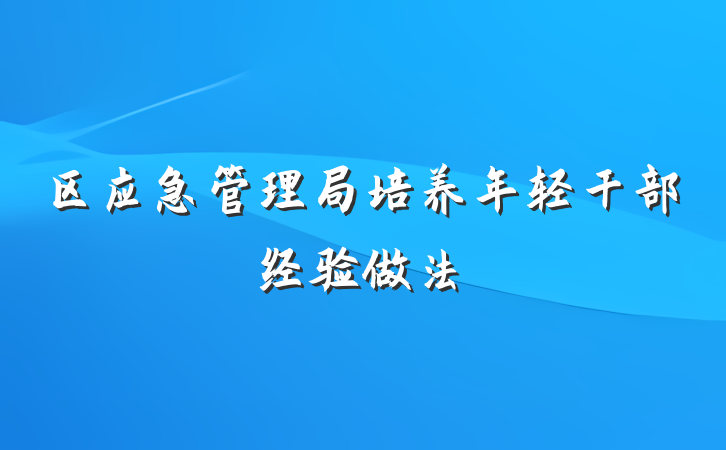 区应急管理局培养年轻干部经验做法