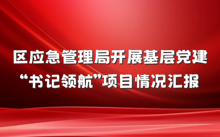 区应急管理局开展基层党建“书记领航”项目情况汇报