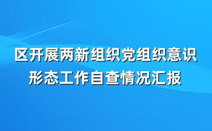 区开展两新组织党组织意识形态工作自查情况汇报
