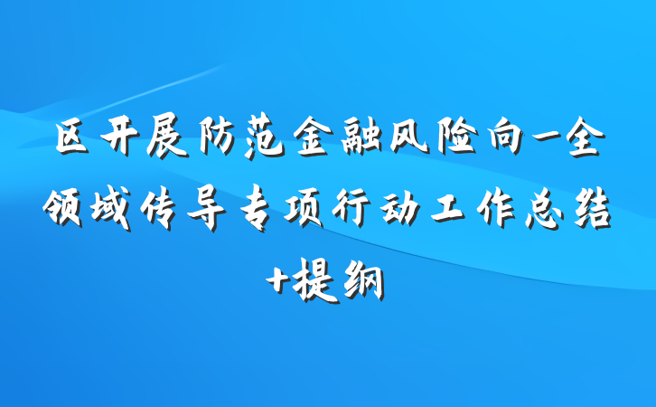 区开展防范金融风险向_全领域传导专项行动工作总结 提纲