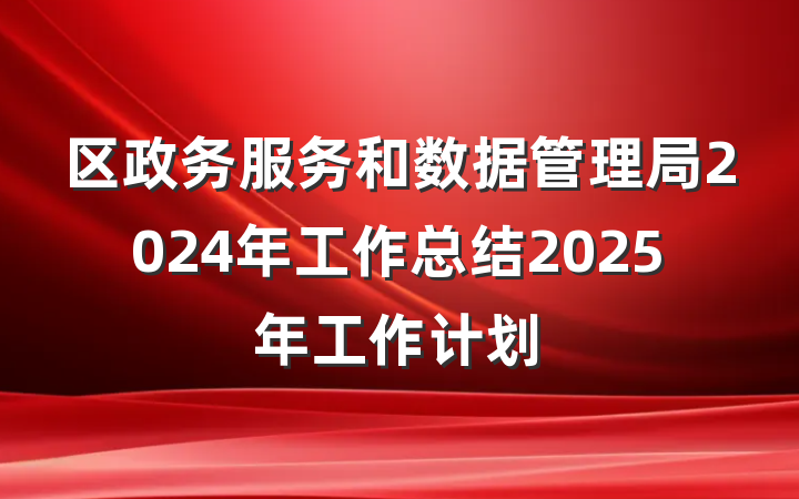 区政务服务和数据管理局2024年工作总结2025年工作计划