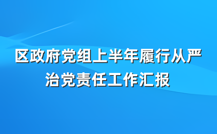 区政府党组上半年履行从严治党责任工作汇报