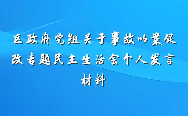 区政府党组关于事故以案促改专题民主生活会个人发言材料