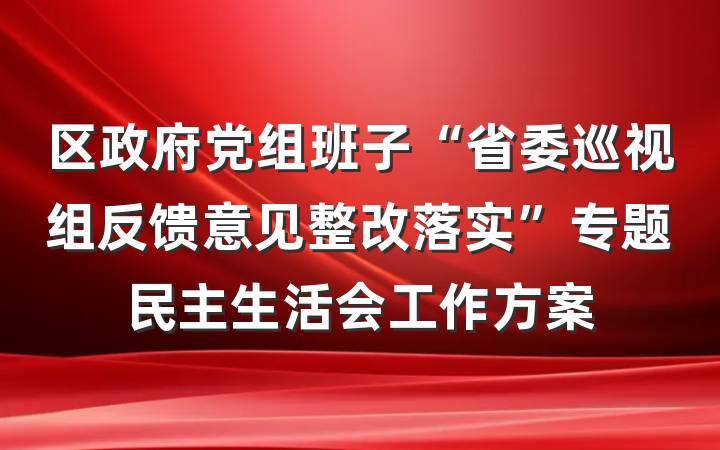 区政府党组班子“省委巡视组反馈意见整改落实”专题民主生活会工作方案