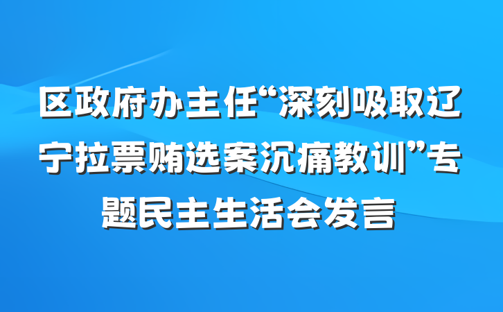 区政府办主任“深刻吸取辽宁拉票贿选案沉痛教训”专题民主生活会发言