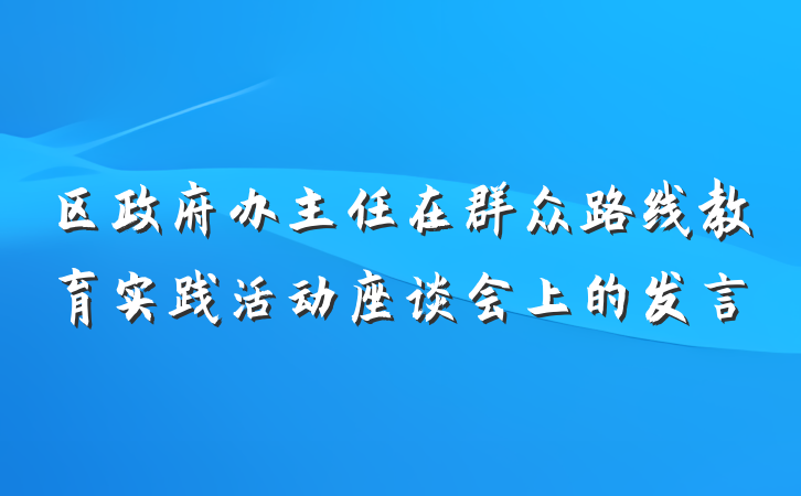 区政府办主任在群众路线教育实践活动座谈会上的发言