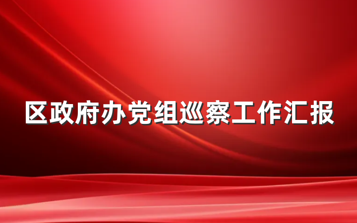 区政府办党组巡察工作汇报