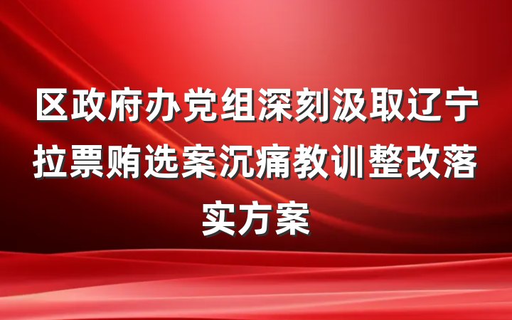 区政府办党组深刻汲取辽宁拉票贿选案沉痛教训整改落实方案
