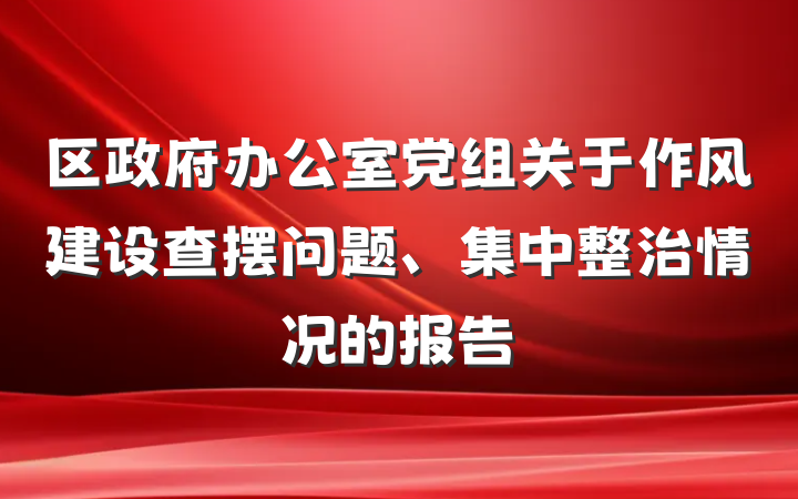区政府办公室党组关于作风建设查摆问题、集中整治情况的报告