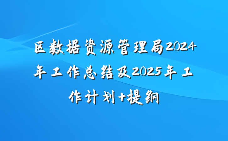 区数据资源管理局2024年工作总结及2025年工作计划 提纲