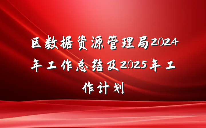 区数据资源管理局2024年工作总结及2025年工作计划