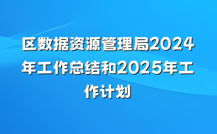 区数据资源管理局2024年工作总结和2025年工作计划