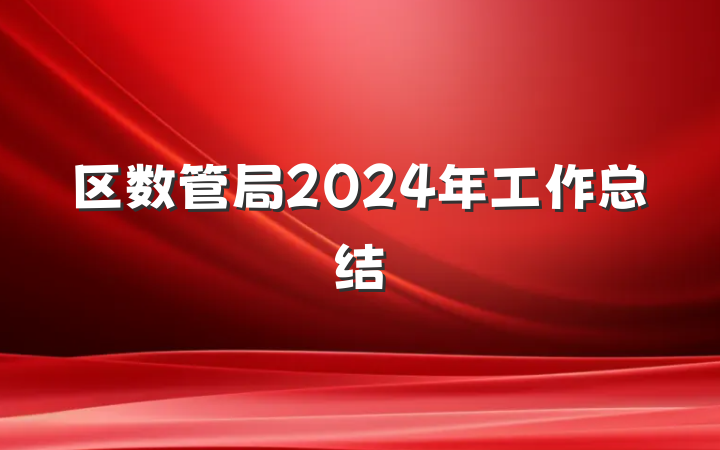 区数管局2024年工作总结