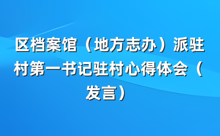区档案馆（地方志办）派驻村第一书记驻村心得体会（发言）