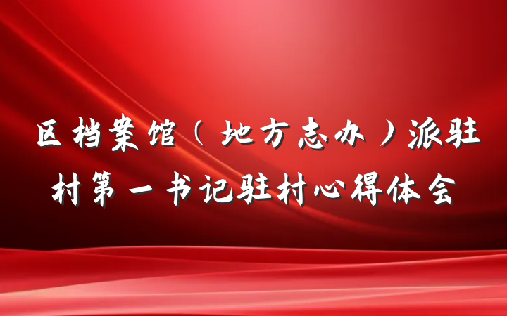 区档案馆（地方志办）派驻村第一书记驻村心得体会