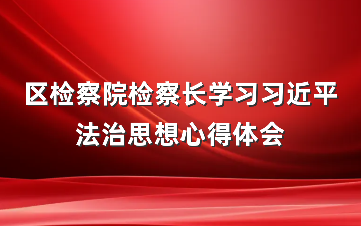 区检察院检察长学习习近平法治思想心得体会
