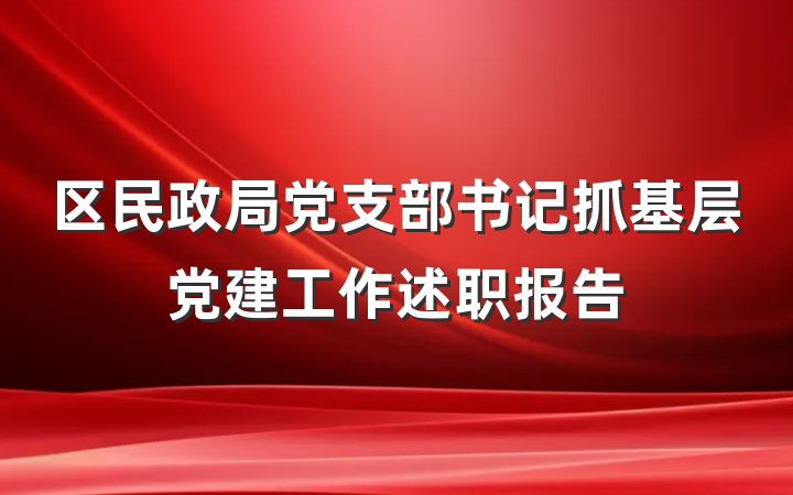 区民政局党支部书记抓基层党建工作述职报告