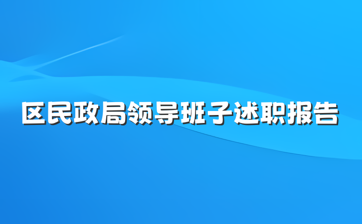 区民政局领导班子述职报告