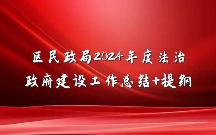区民政局2024年度法治政府建设工作总结 提纲
