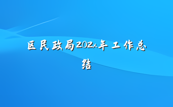 区民政局202x年工作总结