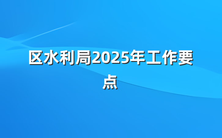 区水利局2025年工作要点