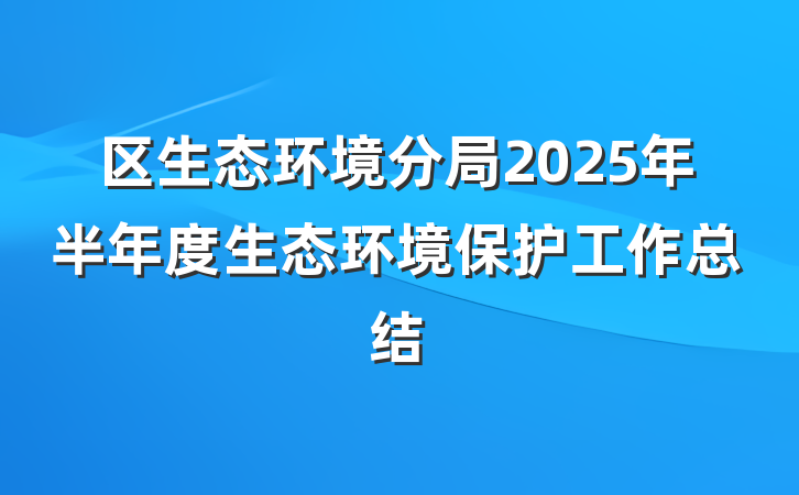 区生态环境分局2025年半年度生态环境保护工作总结