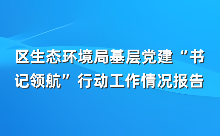 区生态环境局基层党建“书记领航”行动工作情况报告
