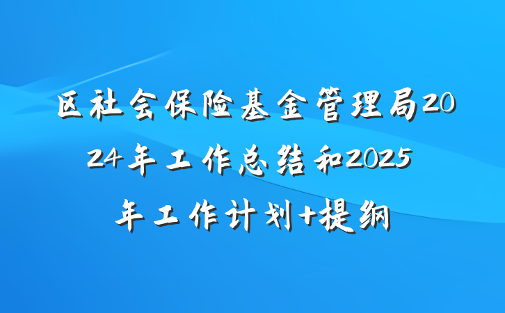 区社会保险基金管理局2024年工作总结和2025年工作计划 提纲