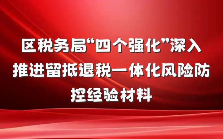 区税务局“四个强化”深入推进留抵退税一体化风险防控经验材料