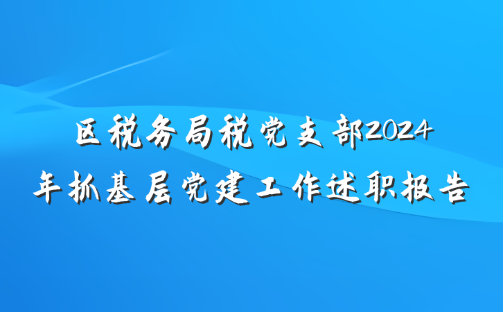 区税务局税党支部2024年抓基层党建工作述职报告