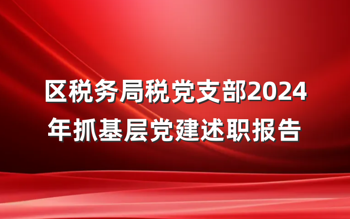 区税务局税党支部2024年抓基层党建述职报告